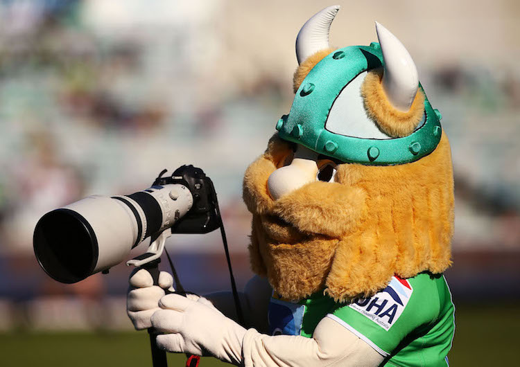 All 16 NRL Team Mascots Ranked At Last | The Spinoff