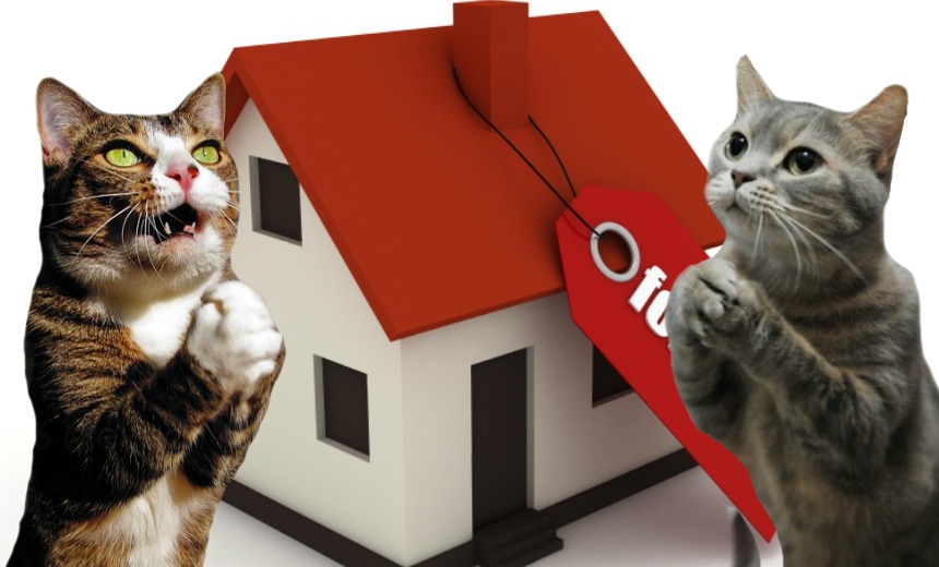 How to convince your landlord to let you have a cat in your rental