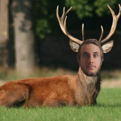 How To Master Thehunter Call Of The Wild As Told By A Real Life Hunter The Spinoff