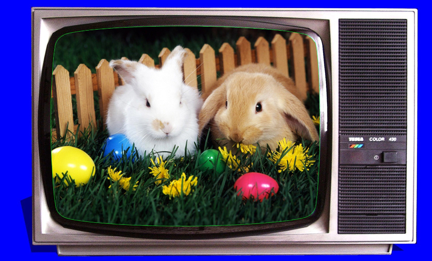 Do Rabbits Like Watching Tv