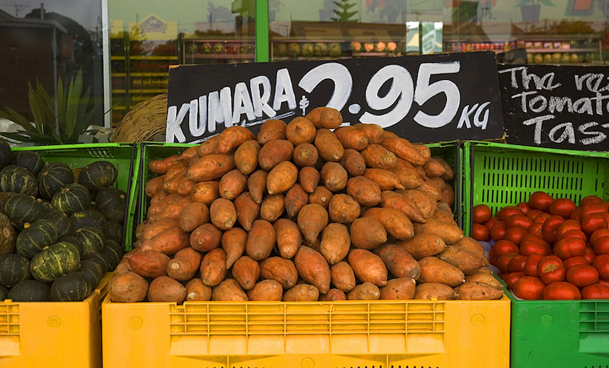 The story of the kūmara a superfood shaped by Māori The Spinoff