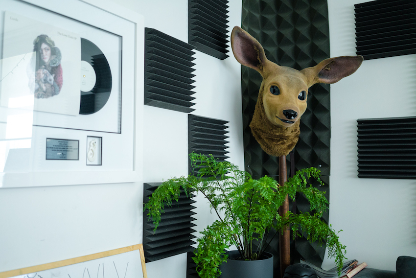 Josh Fountain is everywhere, if you know where to listen The Spinoff