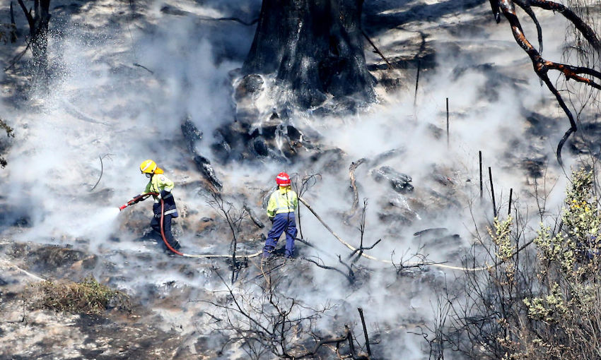 The Nelson fires are a climate change warning for New Zealand The Spinoff