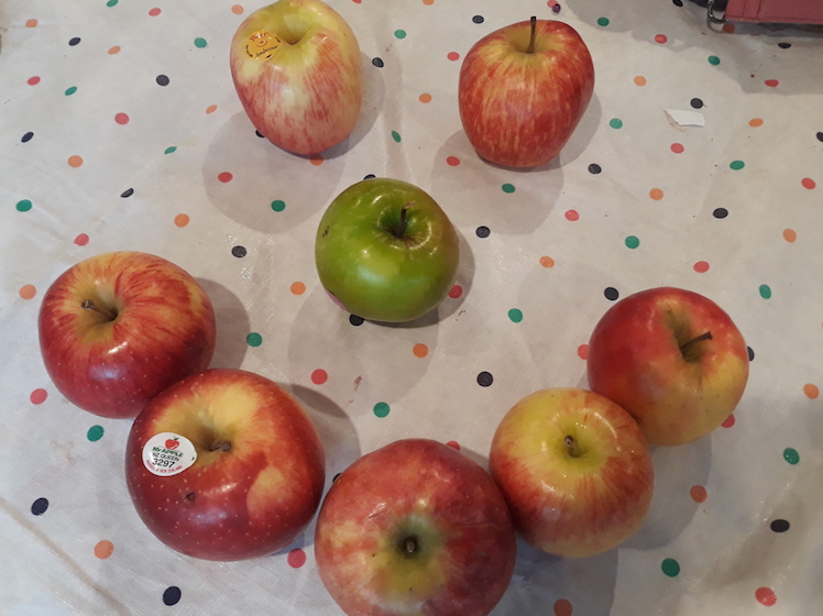 A definitive ranking of the apples of New Zealand The Spinoff