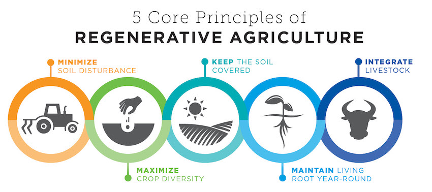 With the walls closing in, regenerative farming is a way forward for