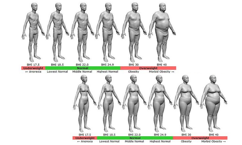 22 female bmi Normal Weight
