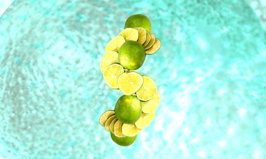 Why are limes so freakishly expensive in New Zealand? The Spinoff