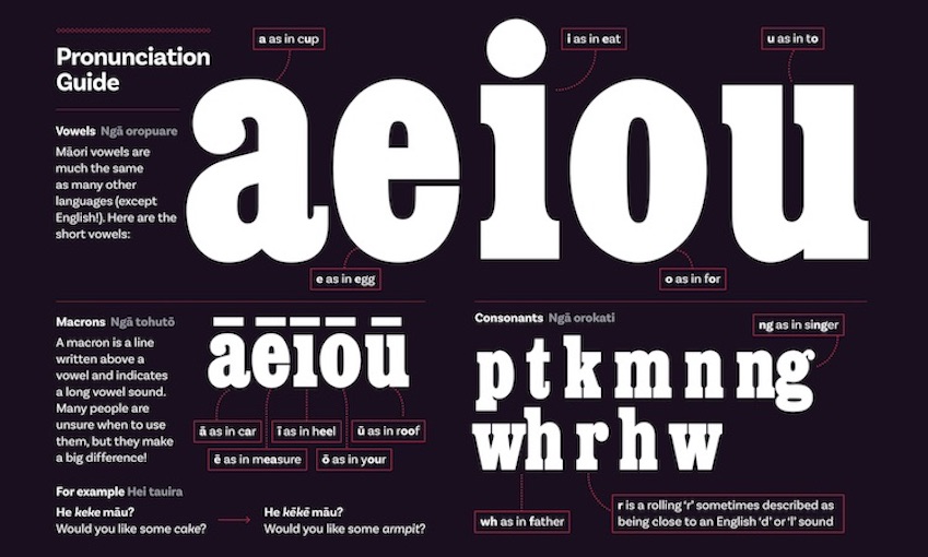 Photo of Welcome to the reo-volution: On the explosion in Māori language learning