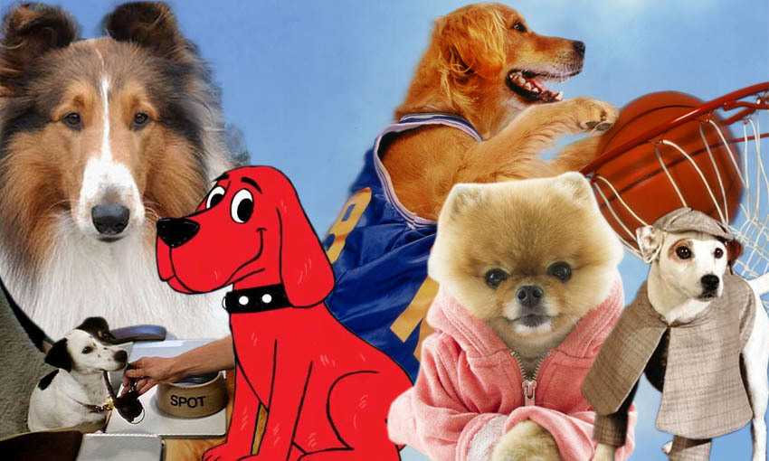 Ten dogs that need to be on Pooch Perfect right now | The ...