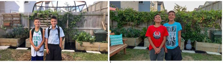 Learning to live by the maramataka: Haratua | The Spinoff