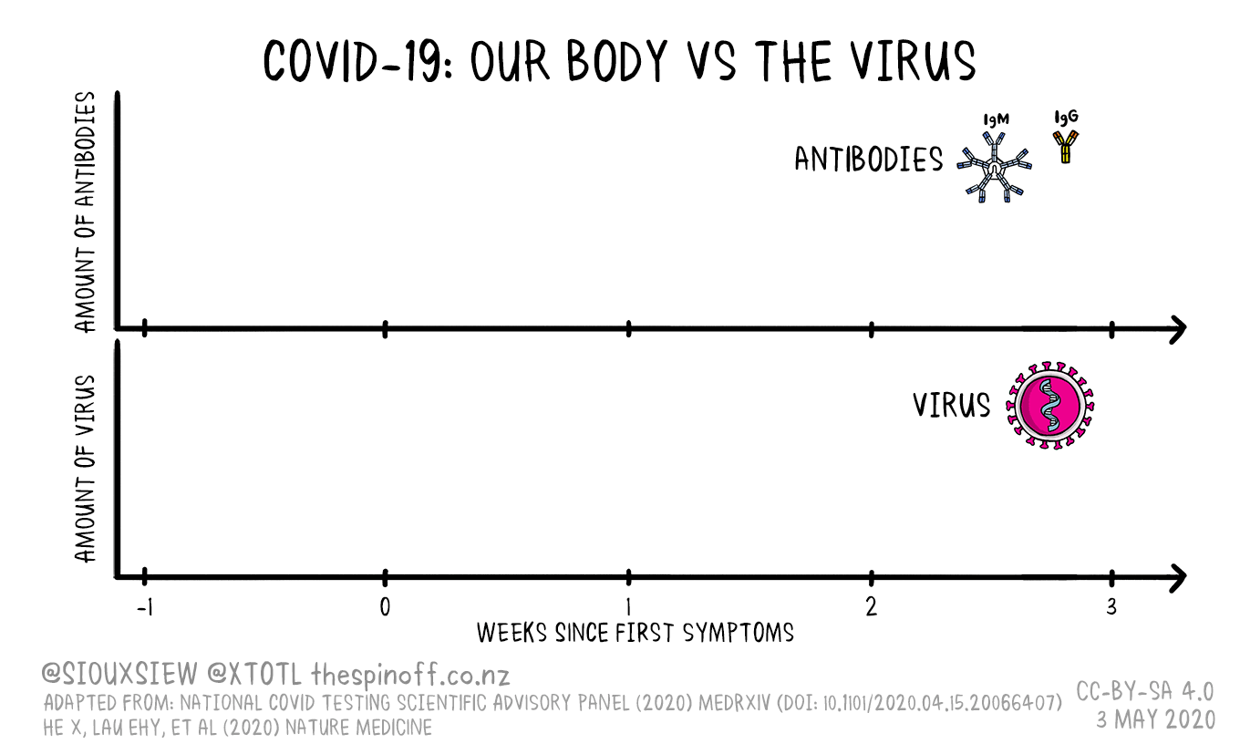 The Bumper Toby Morris Siouxsie Wiles Covid 19 Box Set The Spinoff