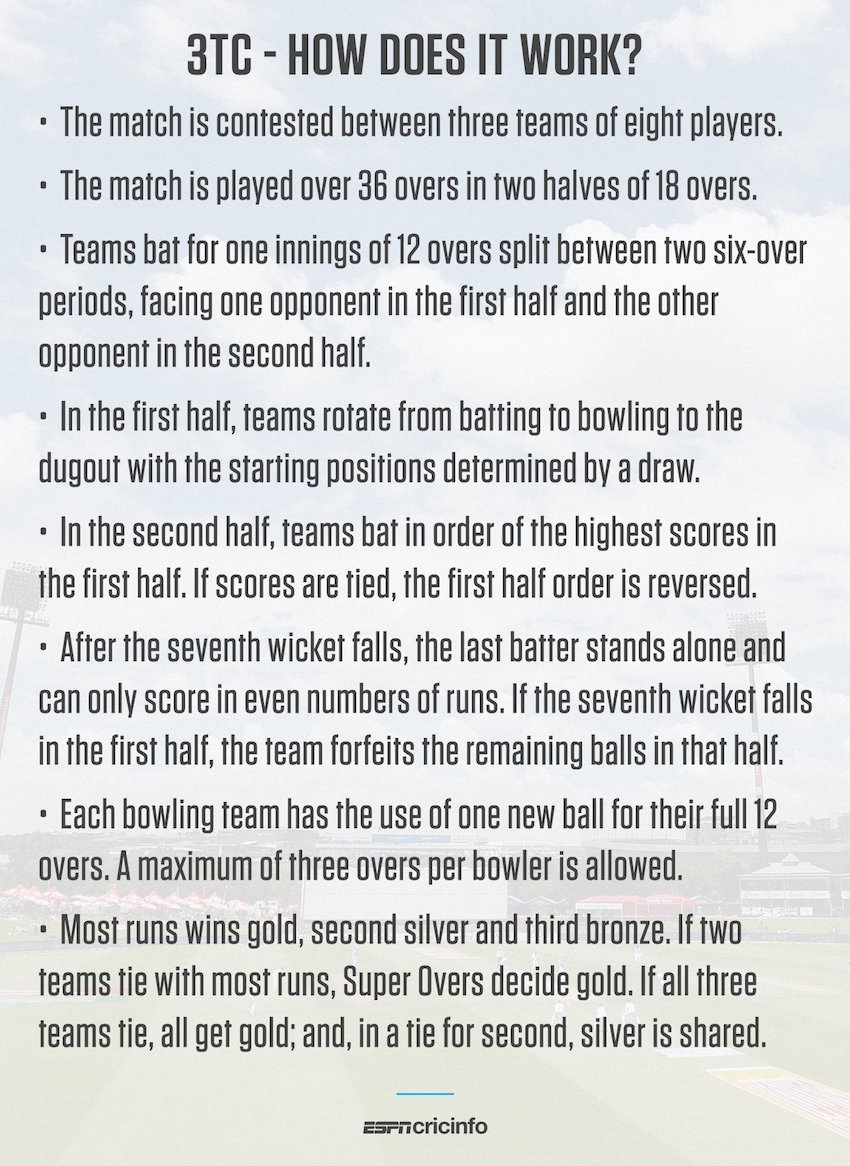 cricket 4 lines for 100 cricket 4 lines for 100