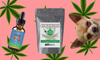 â€˜Can my dog get high?â€™ and other questions about cannabis pet products