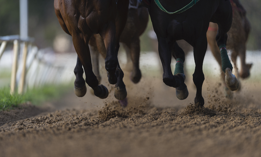 legs and hooves of horses racing
