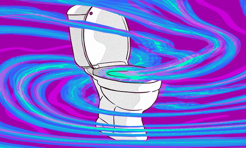 The Bad Sh T My Search For A Solution To Irritable Bowel Syndrome The Spinoff