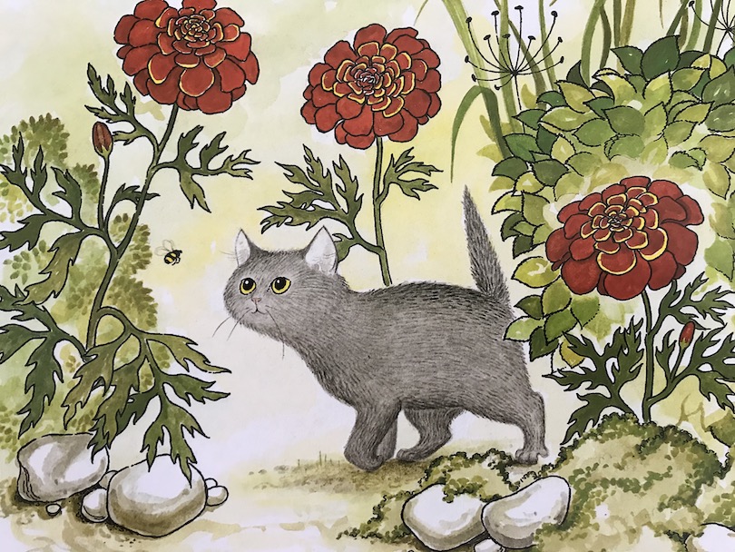 Illustration: small grey cat following a bee in garden