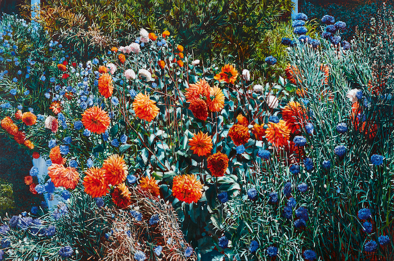 A painting of bright orange dahlias bending under their own weight, plus cornflowers.