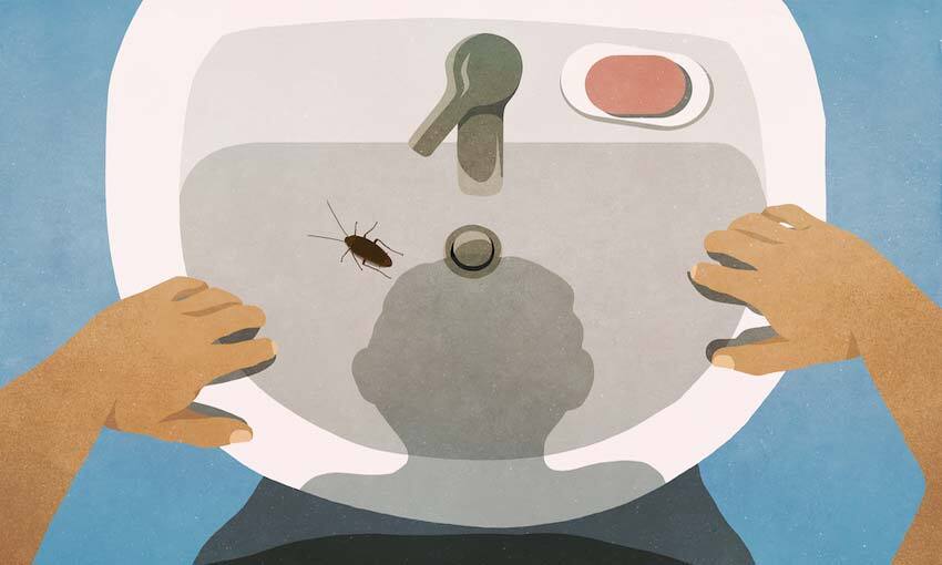Illustration from perspective of person peering into sink, where there's a big gross cockroach