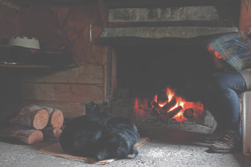 Interior of a mustering hut, open fire roaring, black retriever asleep in front of it, a person reading a hunting mag.