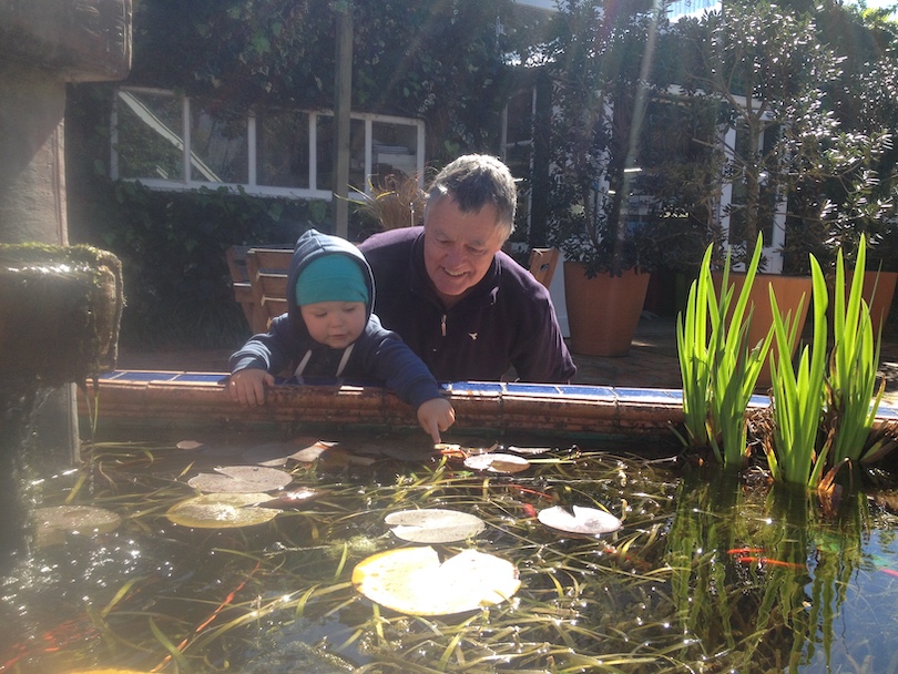 A middle-aged man crouches down close to a toddler, both transfixed by a fishpond. The man is delighted.