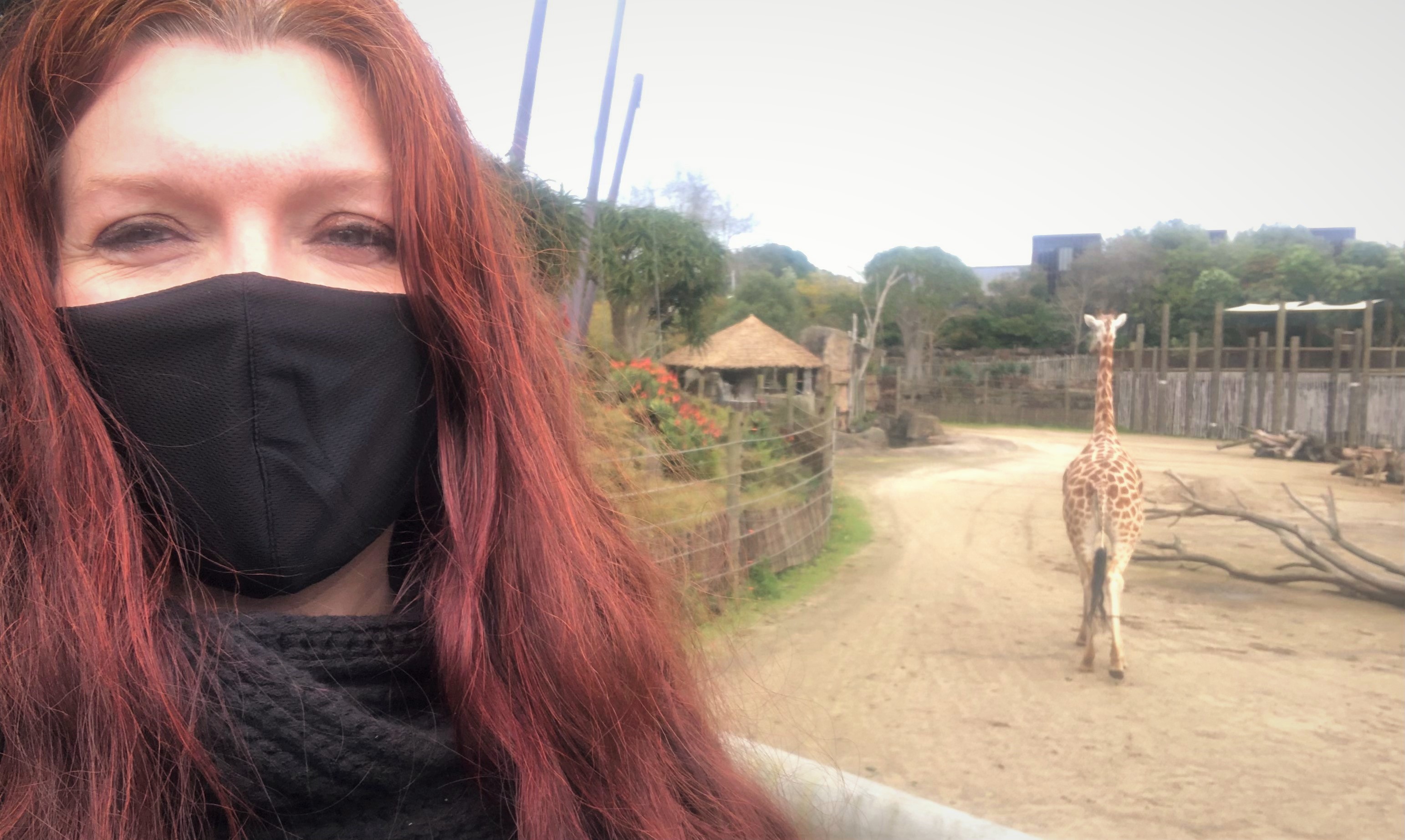 zoo