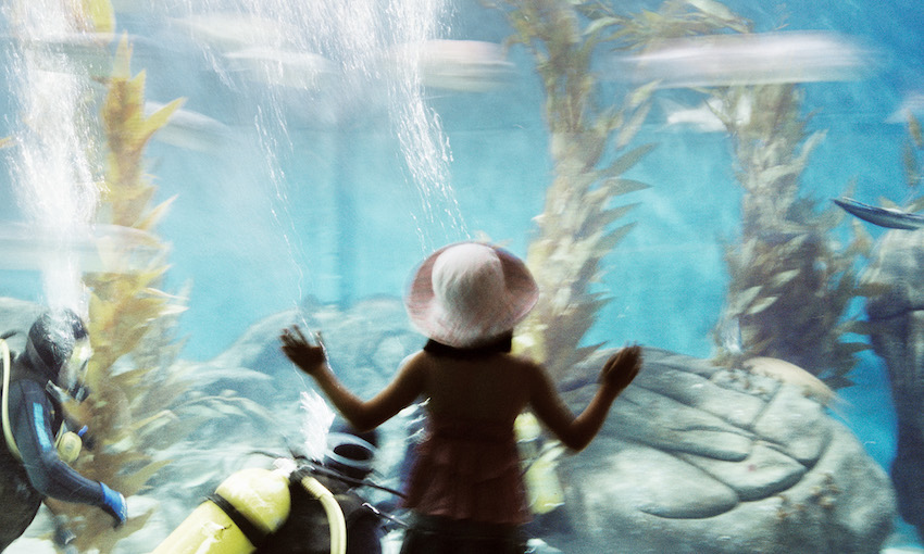 A small figure, perhaps a child, photographed at an aquarium, standing facing the tank, hands pressed against it. Inside is a watery turquoise dreamscape of kelp and divers.